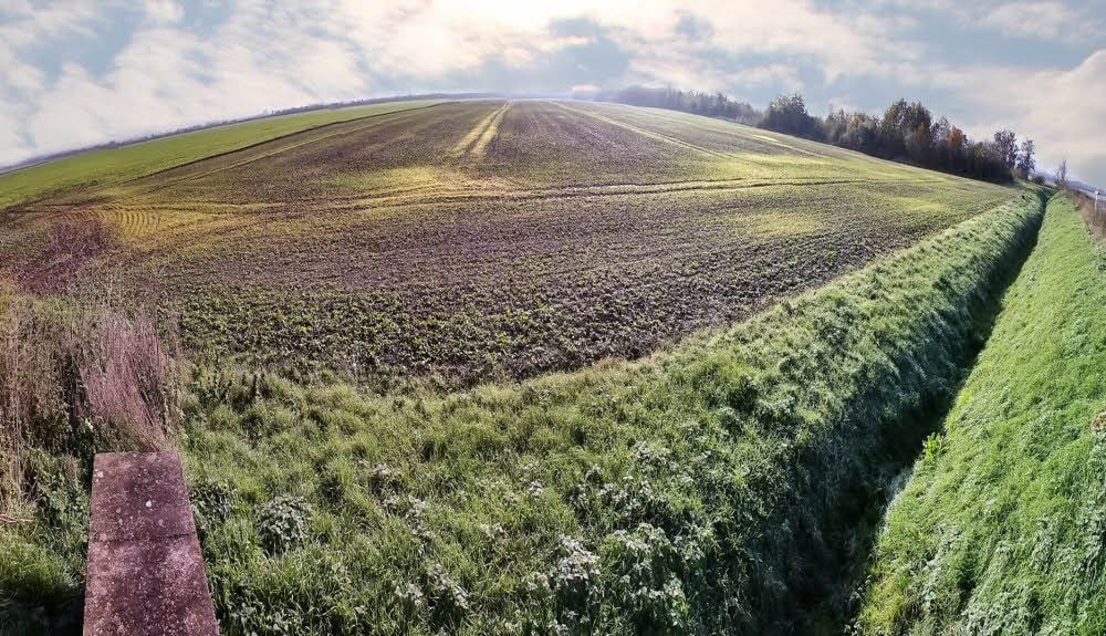 Noch ist hier Acker, ab dem Frühjahr sollen Gewächshäuser errichtet werden.
