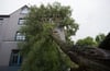 Baum umgestürzt, Dach kaputt, Keller überflutet – Unwetter können schwere Schäden hinterlassen.