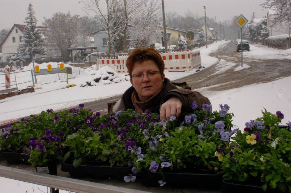 Mitarbeiterin Anke Donath sortiert die Blumentöpfe vor dem Laden an der Ilberstedter Straße. Diese ist urplötzlich voll gesperrt worden. Eine offizielle Information gab es darüber nicht.