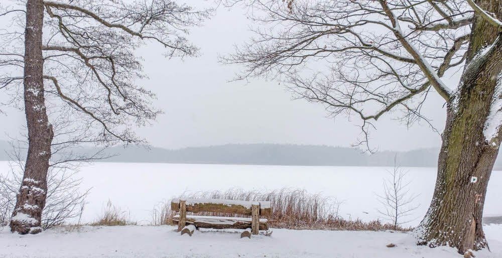 Wer es ruhig und idyllisch mag, der ist an den Lausiger Teichen gut aufgehoben. Auch im Winter.
