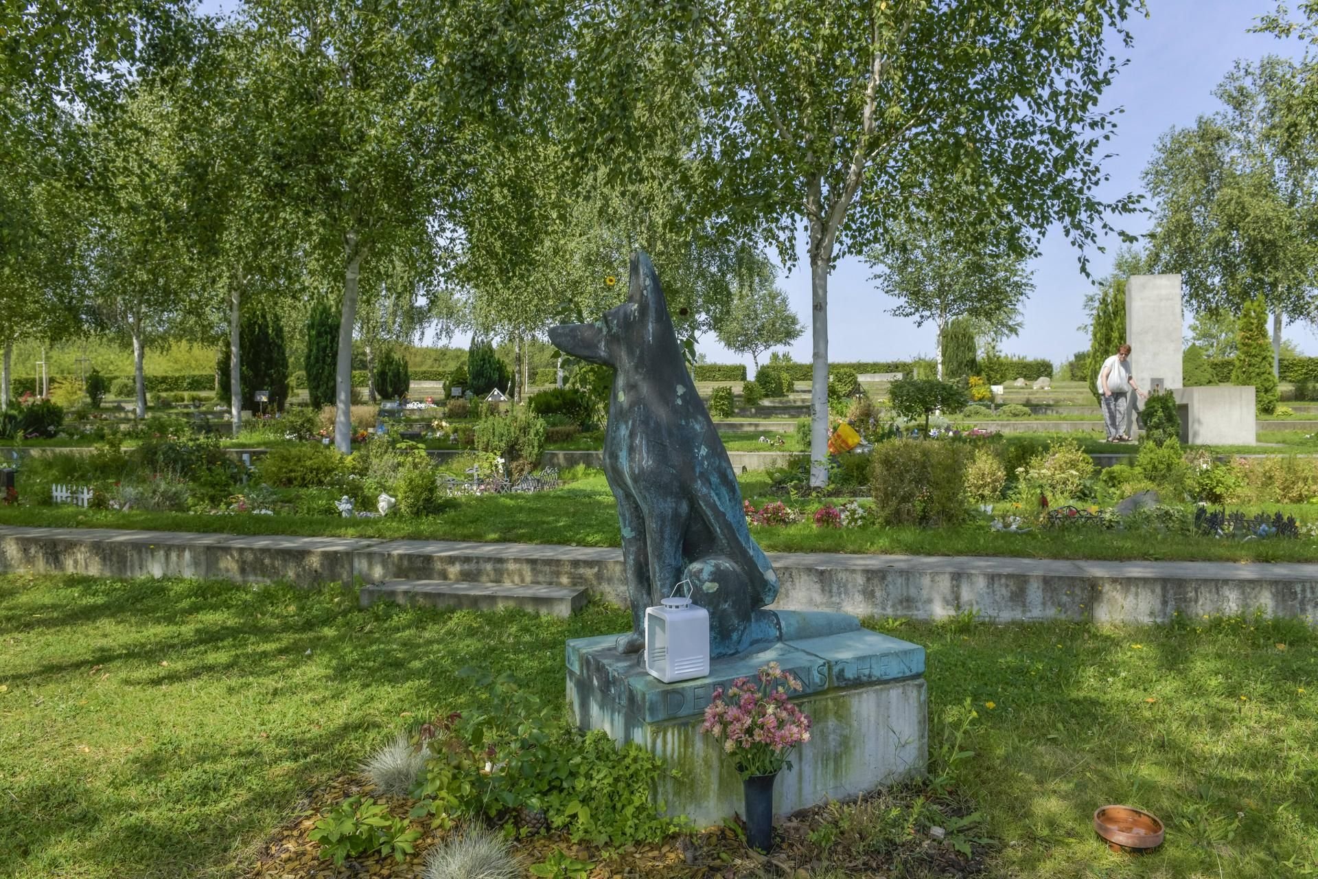 Das wäre die ideale Vorstellung für Familie Meuter aus Hettstedt: Alpaka Knut auf einem Tierfriedhof beisetzen zu lassen.
