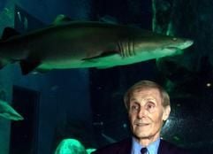 Peter Benchley, der Autor des Romans «Der Weiße Hai», vor einem der großen Tanks im Londoner Aquarium. (Foto: dpa)