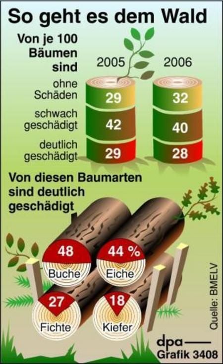 Daten aus dem Waldschadensbericht (Grafik: dpa)