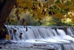 Wie ein Milchbach fließt das Wasser des Flüsschens Schwarza über ein Wehr bei Bad Blankenburg. Das rund 53 Kilometer lange Schwarzatal erstreckt sich am Nordrand des Thüringer Schiefergebirges. (Foto: dpa)