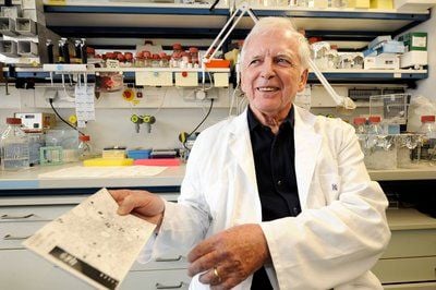 Der Krebsforscher Harald zur Hausen im Deutschen Krebsforschungszentrum in Heidelberg in seinem ehemaligen Labor. (Foto: ddp)