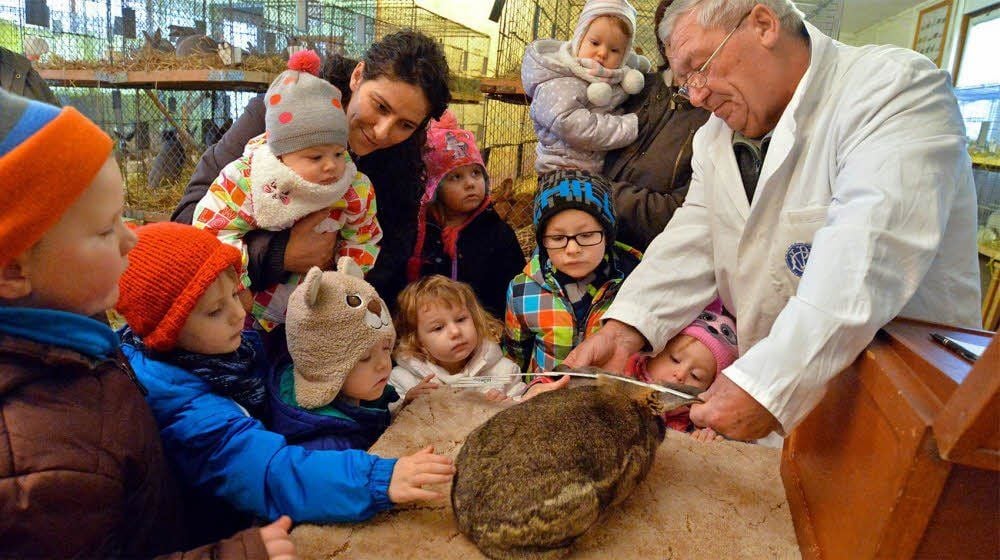 Joachim Wendt vermisst gemeinsam mit dem Mädchen und Jungen der Kita die Ohren eines Kaninchens.