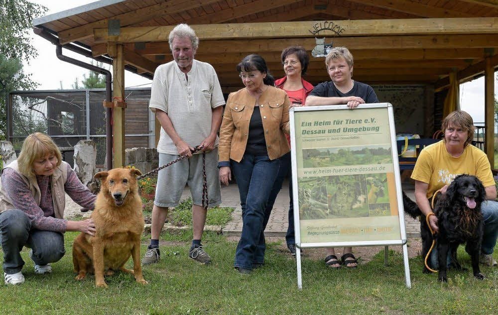 Portos und Chester mit ihren neuen Betreuern auf dem Gnadenhof, wo derzeit 84 Tiere leben.