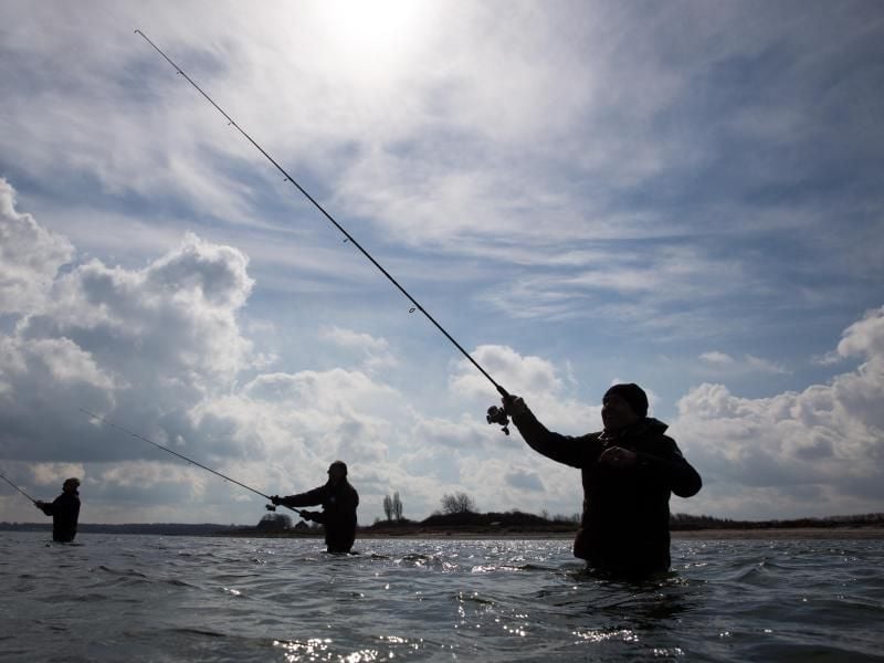 Drei Männer stehen in der Ostsee und angeln. Foto: Christian Charisius/Archiv