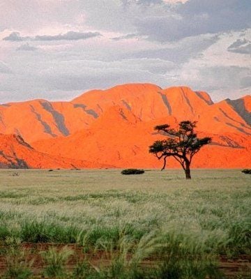 Auch bei einer Rundtour durch Namibia kann man sich von einem Arzt begleiten lassen.
