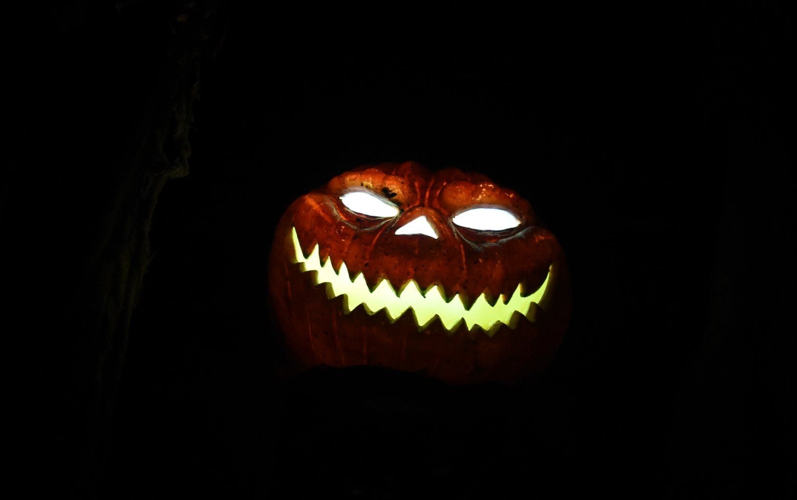 Halloween-Kürbis