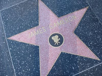 James Camerons Stern auf dem Walk of Fame in Hollywood (FOTO: DPA)