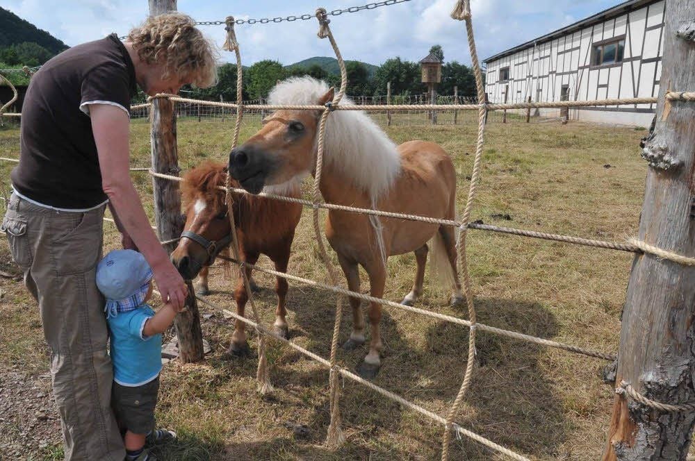 Elke Franke und Enkel Leonard Odin gehören zu den ersten Besuchern des wiedereröffneten Zunfthofes in Rottleberode.