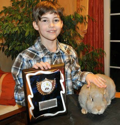 Stolz präsentiert Max Petrik die Meister-Plakette und streichelt seine Neuerrungenschaft, einen Rammler für seine Luxkaninchen.