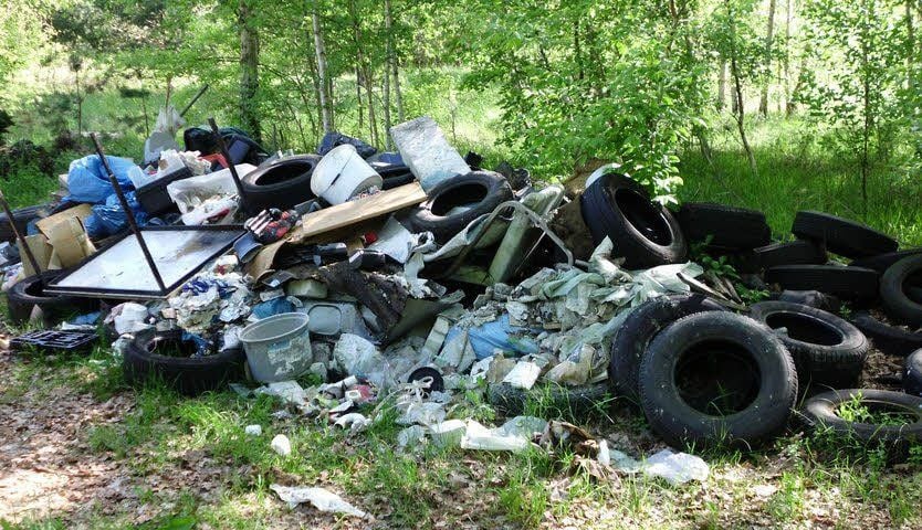 Im Wald entsorgter Müll, von den Forstwirten der Bundesforst auf einem Haufen zusammengesammelt.