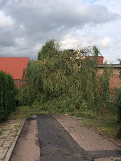 Einige Nebenstraßen in Rothenschirmbach sind noch dicht wegen umgestürzter Bäume.
