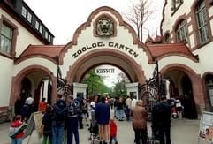 Das Archivfoto vom 24.04.2000 zeigt Besucher, die den historischen Eingang des Zoologischen Gartens in Leipzig passieren. Am kommenden Pfingstwochende (07./08.06.2003) feiert der Zoo sein 125-jähriges Jubiläum. Am 09.06.1878 gründete der Gastwirt Ernst Pinkert den Zoologischen Garten Leipzig. Er hatte zur Belebung seiner Gastwirtschaft und zur Belehrung seiner Kundschaft Tiere zur Schau gestellt und legte damit den Grundstein für die heute beliebteste und - mit jährlich mehr als einer Million Besuchern - meist besuchte Freizeit- und Kultureinrichtung Leipzigs. Heute spielt der Zoo u.a. mit der weltweit einzigartigen Menschenaffenanlage auch wissenschaftlich eine große Rolle. (Foto: dpa)