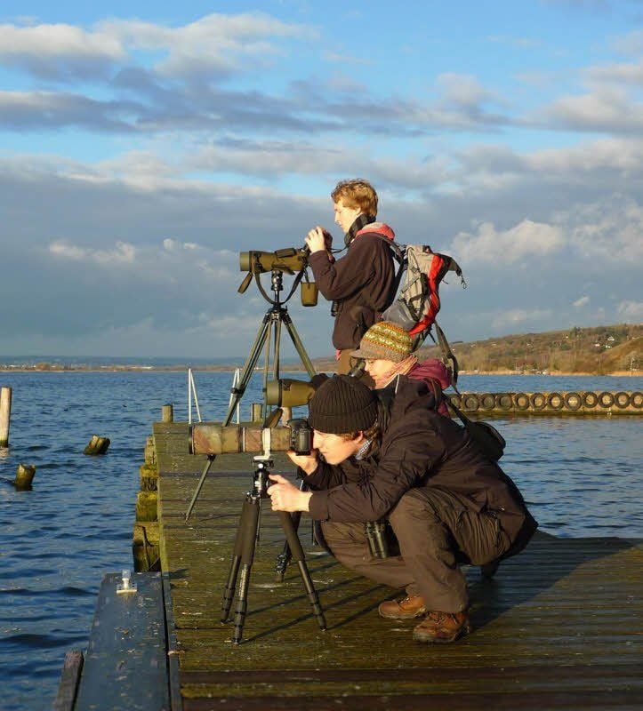 Die Mitglieder der Arbeitsgemeinschaft beim Beobachten von Eistauchern am Süßen See in Seeburg.