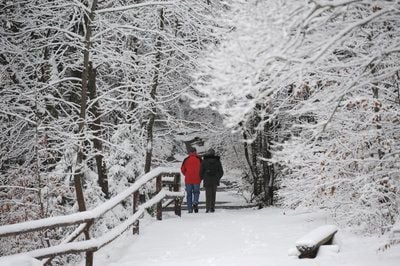 Wanderer gehen auf einem verschneiten Weg am Großen Arbersee in Niederbayern spazieren. (FOTO: DPA)