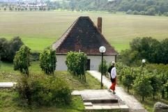 Zum Klinger-Weinberg gehört das untere Weinbergshaus, das der Grafiker, Maler und Bildhauer Max Klinger (1857-1920) als «Radierstübchen» nutzte. (Archivfoto: dpa)