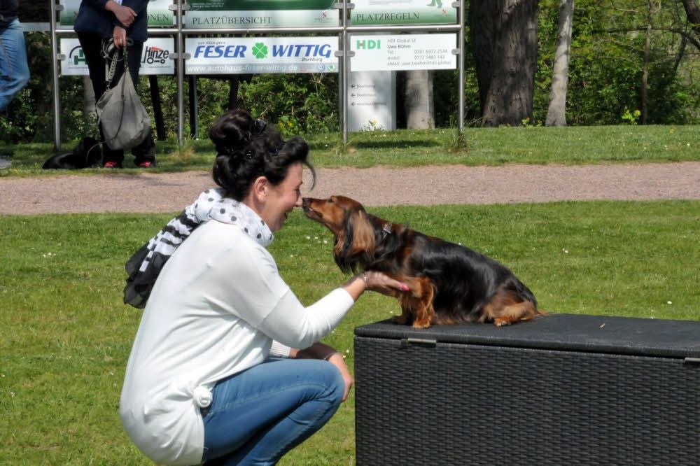 Alle drei Dackel im Finale zeigten keine Scheu vor Fremden. Serumwerks-Mitarbeiterin Marion Schulz, die mit in der Jury saß, nahm hier ein Küsschen von der drittplatzierten Lilly aus Leipzig entgegen.