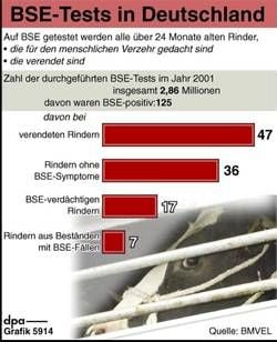 Zahl der BSE-Tests und der BSE-Fälle in