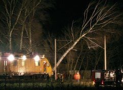 Feuerwehrleute stehen in der Nacht zum Samstag an der Bahnlinie Neumünster-Kiel bei Neumünster-Einfeld, wo durch einen Sturm ein Baum auf die Oberleitung gestürzt ist. (Foto: dpa)