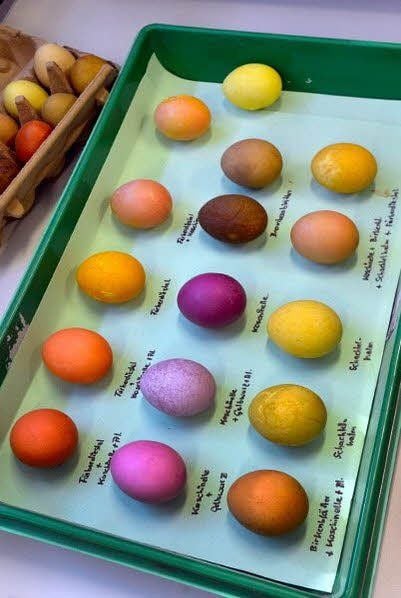 Eier durften auch gefärbt werden.