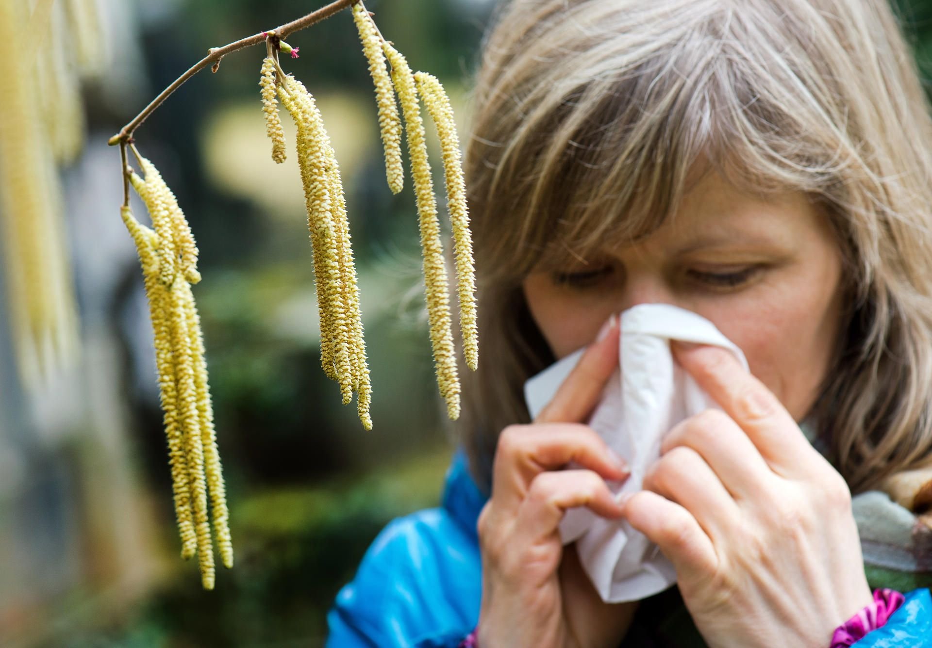 Quält mich Heuschnupfen oder eine Erkältung? Wenn die Pollen fliegen, kann beides möglich sein. (Symbolbild)