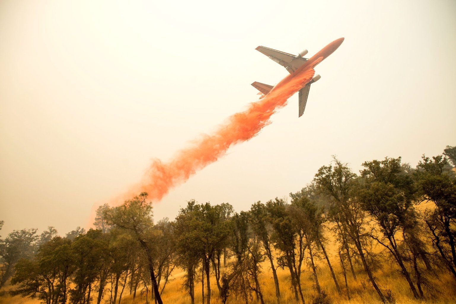 Löschflugzeuge kämpfen gegen die Waldbrände.