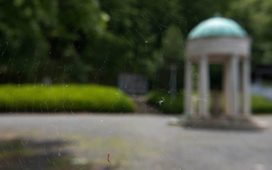 Das Kurzentrum befindet sich derzeit im Dornröschen-Schlaf. Falls es dauerhaft geschlossen bleibt, ist der „Heilbad“-Status futsch.