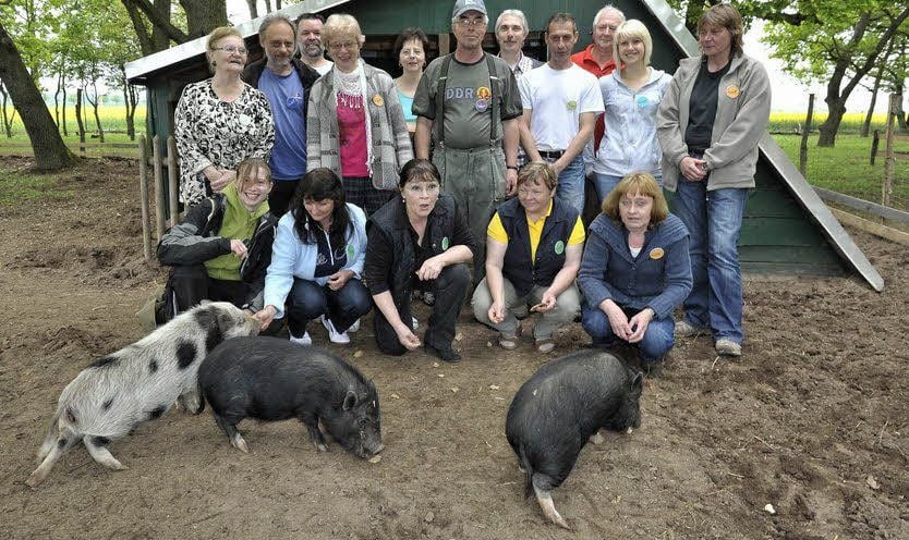Schweine haben die Mitglieder des Vereins „Ein Heim für Tiere“ schon einige, wie sie beim kleinen Maifest den Besuchern stolz zeigten.