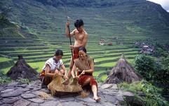 In den Bergen Luzons: Als «Kulturlandschaft» zählen die Reisterrassen von Banaue zum Welterbe der Unesco. (Foto: dpa)