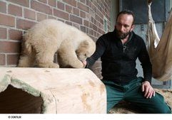 Eisbärbaby Knut und sein Tierpfleger Thomas Dörflein in einer Szene des Films «Knut und seine Freunde». Der Dokumentarfilm zeigt den kometenhaften Aufstieg des kleinen Berliner Bären. (Foto: dpa)