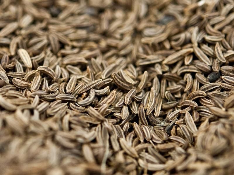 Kümmel macht Speisen wie Kohl oder Zwiebelkuchen bekömmlicher. Foto: Andrea Warnecke