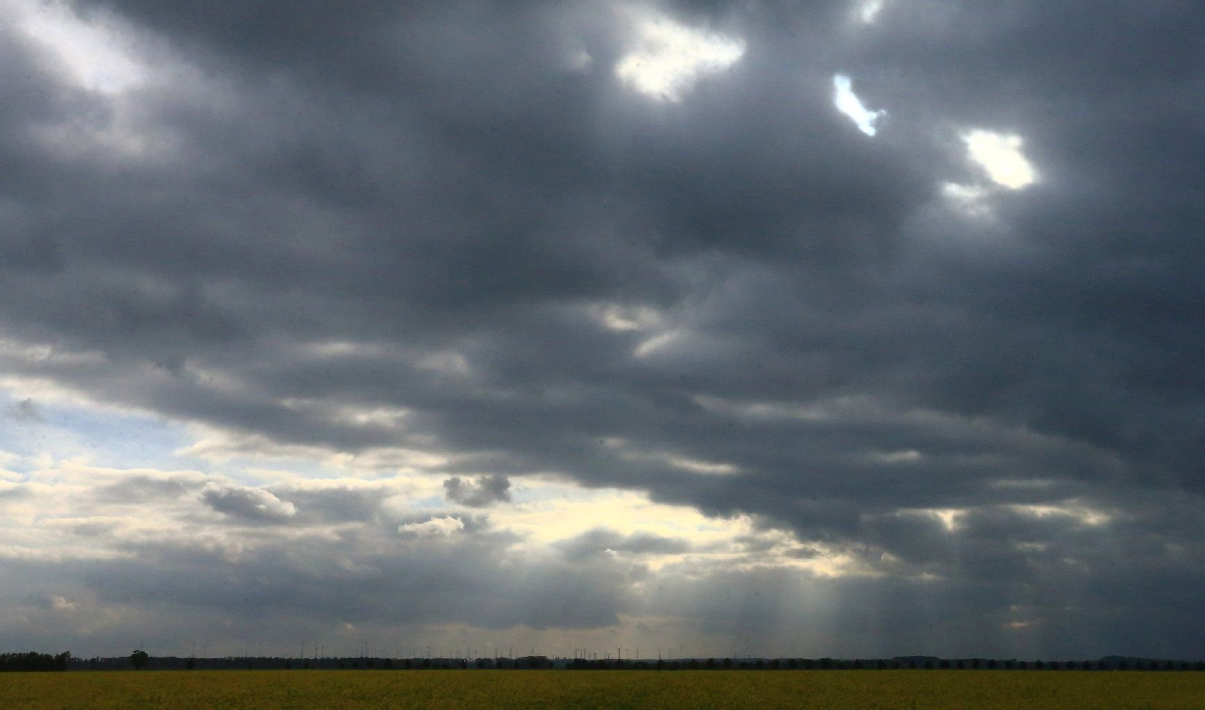 Dunkle Wolken ziehen über ein Rapsfeld bei Gnadau (Sachsen-Anhalt) hinweg.