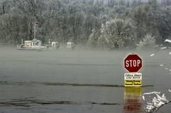 Hochwasser der Elbe bei Aken. (Foto: dpa)