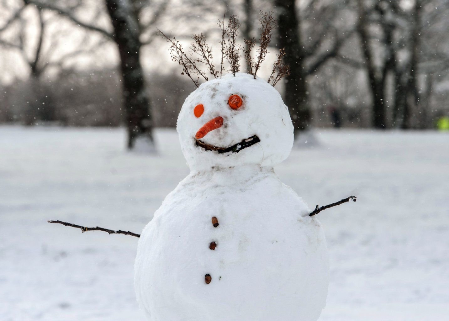 Ein Schneemann mit einer Möhre als Nase steht auf einer Wiese.