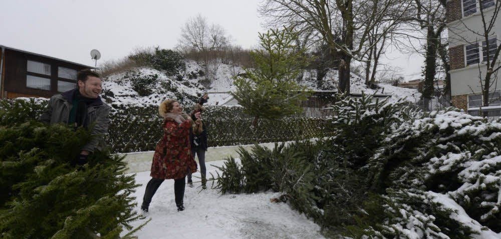 Dirk Eichelmann, Beatrix Noack und ihre Tochter Nora (von links) entsorgen mit Schwung ihren Weihnachtsbaum in der Talstraße.