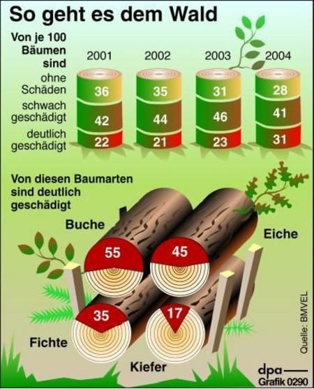 So geht es dem Wald. (Grafik: dpa)
