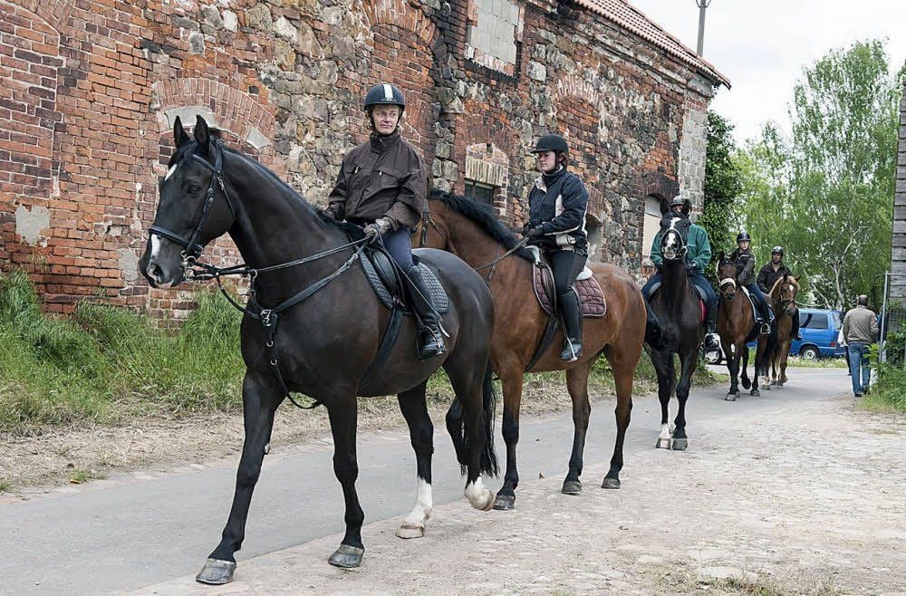 Die Wörlitzer Reiter mit Ina Grünberg an der Spitze treffen im Hofgestüt Bleesern ein.