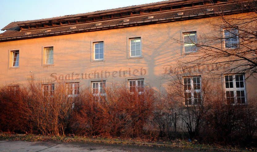 Das ehemalige Wohnheim ist nun Übergangsheim.