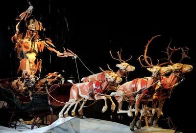 «Winterreise» von Gunther von Hagens «Körperwelten» (FOTO: DDP)