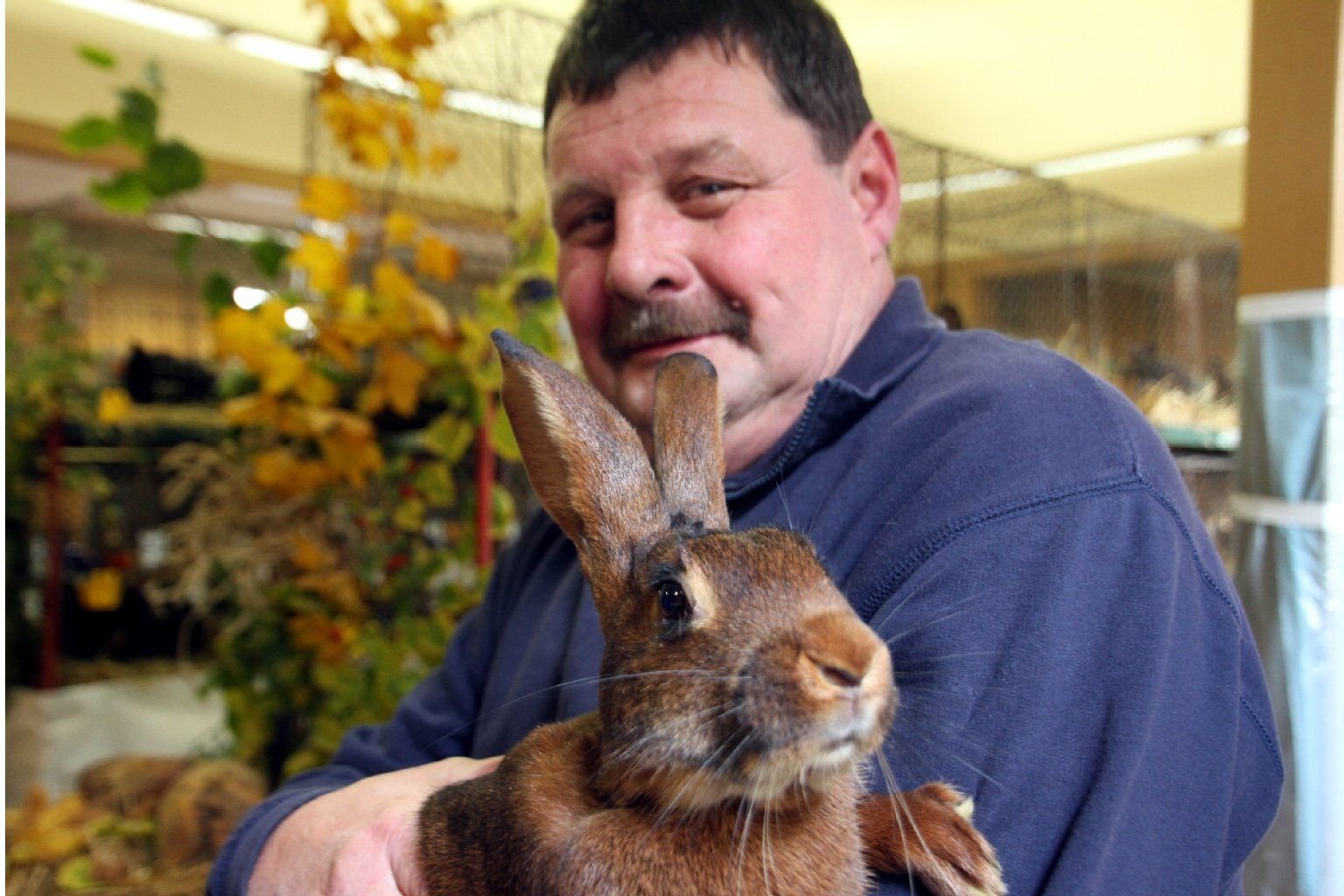 Günter Schwäblein aus Werschen züchtet Hasen.