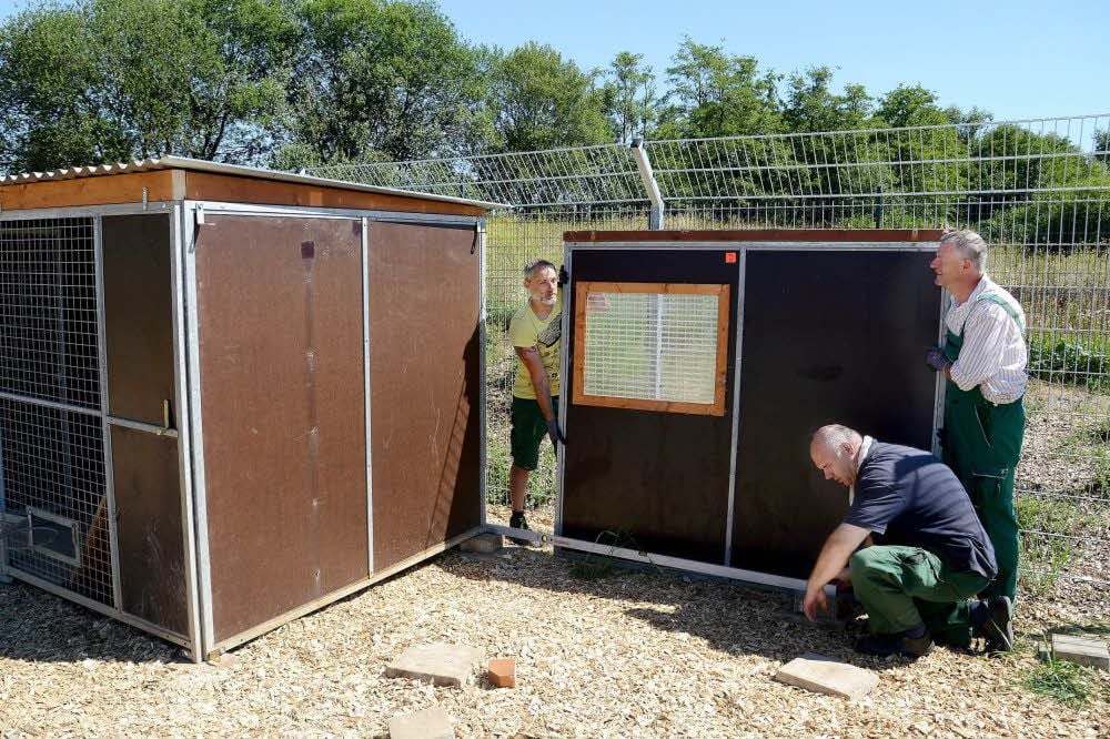 Thomas Staschel (links), Karsten Dittmann und Roberto Berendt (kniend) bauen die Hundezwinger am neuen Tierheim auf.