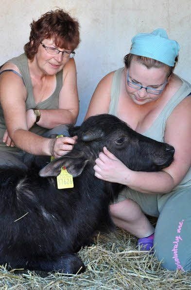 Die Tiere sind in guter Obhut bei Carola (l.) und Kerstin Schulz.