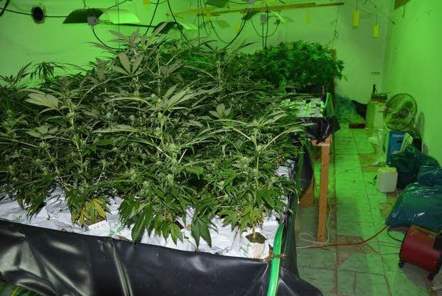 Polizeieinsatz in der Münzgasse. Dort hatten die Kripo die Cannabis-Plantage ausgehoben.