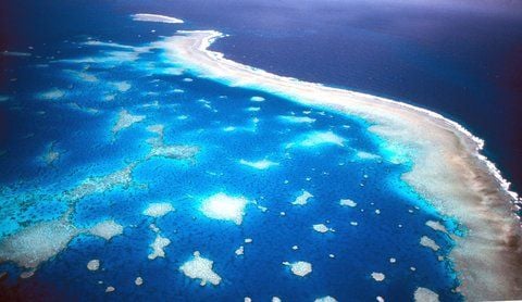 Luftaufnahme des Great Barrier Reef vor der Küste Australiens. (FOTO: ARCHIV/DPA)