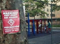 Eine Warnung vor Rattengift ist an einem Baum in unmittelbarer Nähe eines Spielplatzes im Viertel Baruch Houses an der New Yorker East Side angebracht. (Foto: dpa)