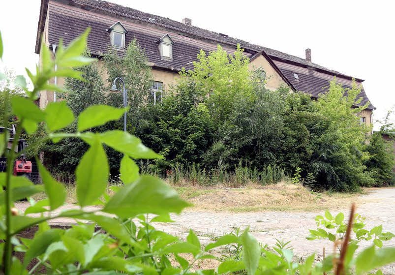 Die Pflanzen wuchern unaufhaltsam vor dem Schloss.