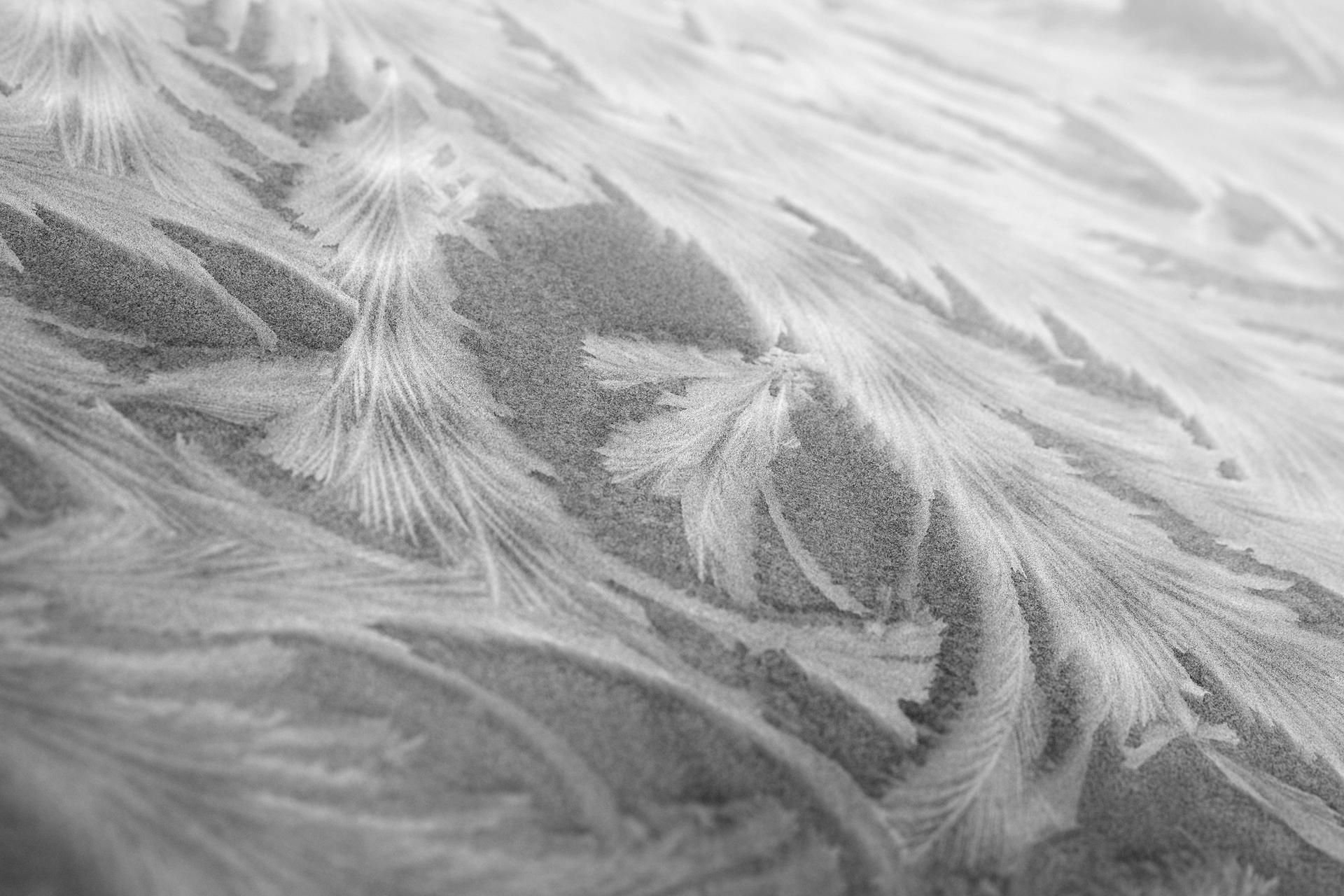 Eisblumen auf einer Glasscheibe. Der Winter hat Deutschland fest im Griff.